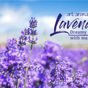 lavender